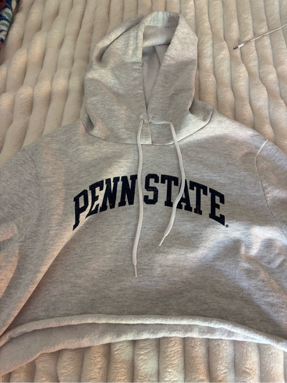 Cropped Penn State Gray Hooded Sweatshirt worn once perfect condition
